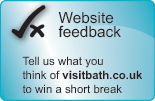 Website feedback survey