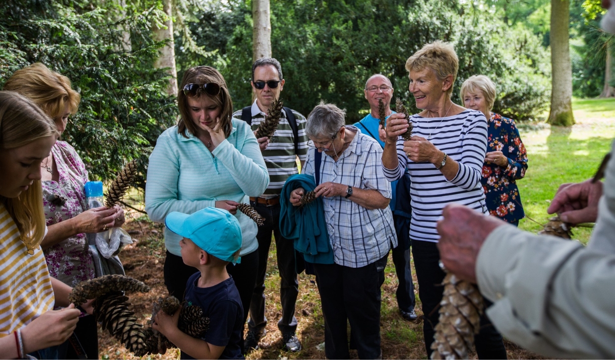 A group of peole on a Discovery Walks at Westonbirt Arboretum