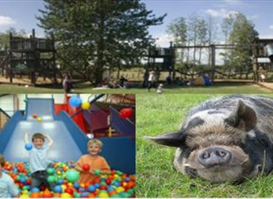Indoor play, pig and climbing structures