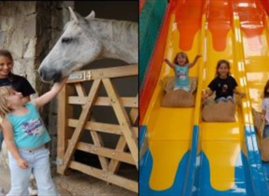Children at Horseworld Visitor Centre Bristol