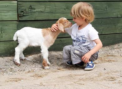 Noah's Ark farm
