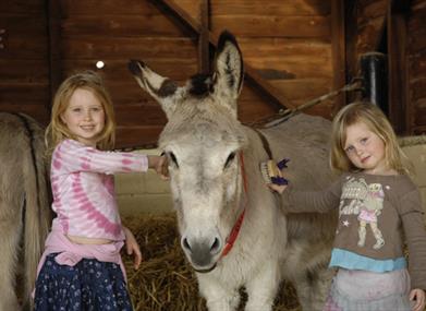 Children at Horseworld Visitor Centre Bristol