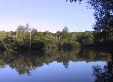Brokerswood