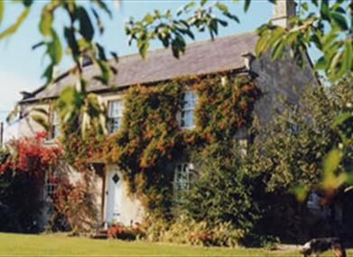 Pig Wig Cottages
