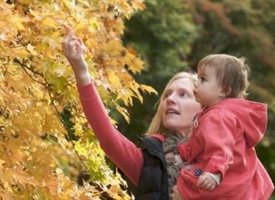 westonbirt-arboretum.jpg