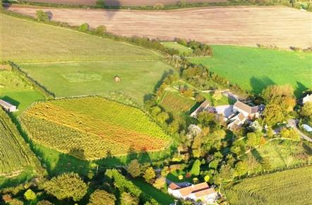 Quoins Vineyard