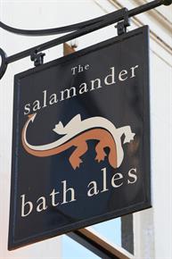 The Salamander