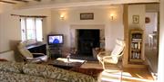 Living Room and Log Burning Stove