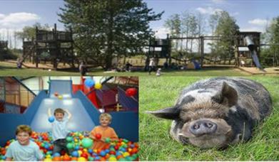 Thumbnail for Avon Valley Adventure and Wildlife Park