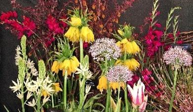Thumbnail for Bath Spring Flower Show