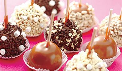 The San Francisco Fudge Factory