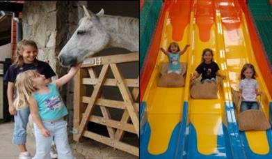 Thumbnail for Horseworld