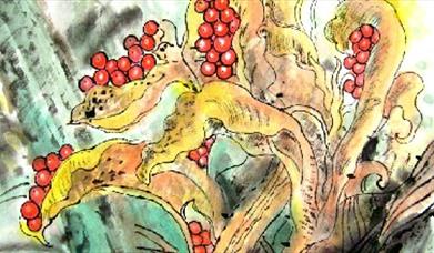 Thumbnail for Chinese Cultural Taster Day
