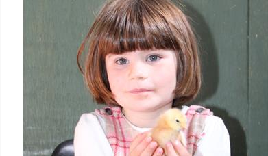 Easter Celebration at Noah's Ark Farm