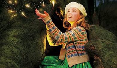 Thumbnail for Faeries showing at The Egg