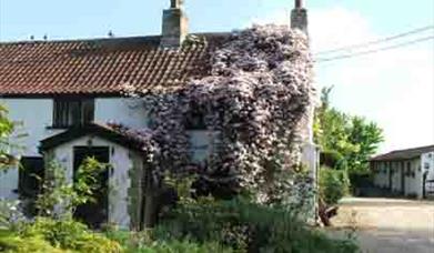 Fern Cottage
