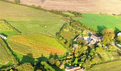 Quoins Vineyard