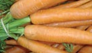 Thumbnail for Bath Farmers' Market