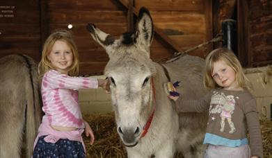 Children at Horseworld Visitor Centre Bristol