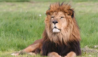 Thumbnail for Longleat