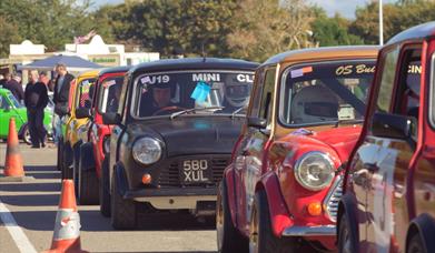 Mini World Action Day