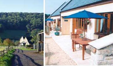 Thumbnail for Nailey Cottages