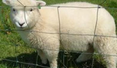 Thumbnail for Norwood Farm
