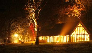 Thumbnail for Natural Christmas Decorations