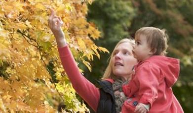 westonbirt-arboretum.jpg