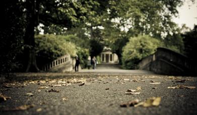 Sydney Gardens
