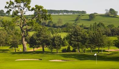 Thumbnail for The Park Hotel Golf Course