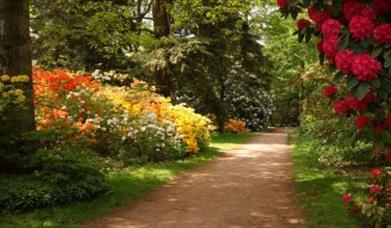 Thumbnail for Westonbirt The National Aboretum