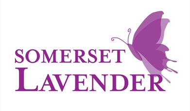 Somerset Lavender