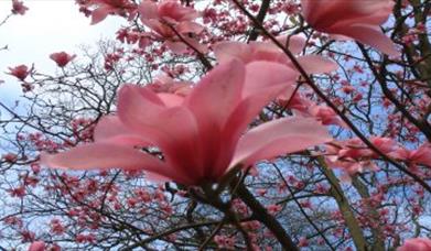 Thumbnail for Digital Photography Course - Beginners