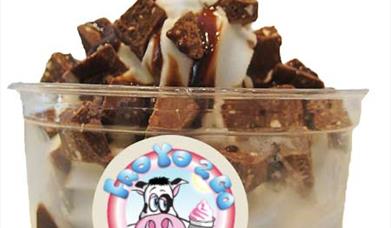 Froyo2go