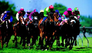 Bath Racecourse