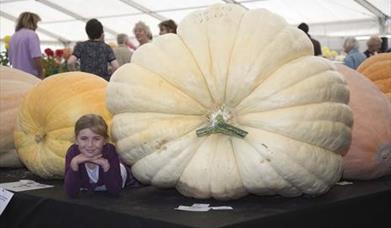 Thumbnail for National Amateur Gardening Show at The Bath & West Showground