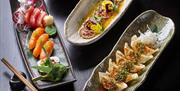 Selection of sushi and gyoza plates