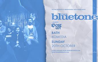 The bluetones poster