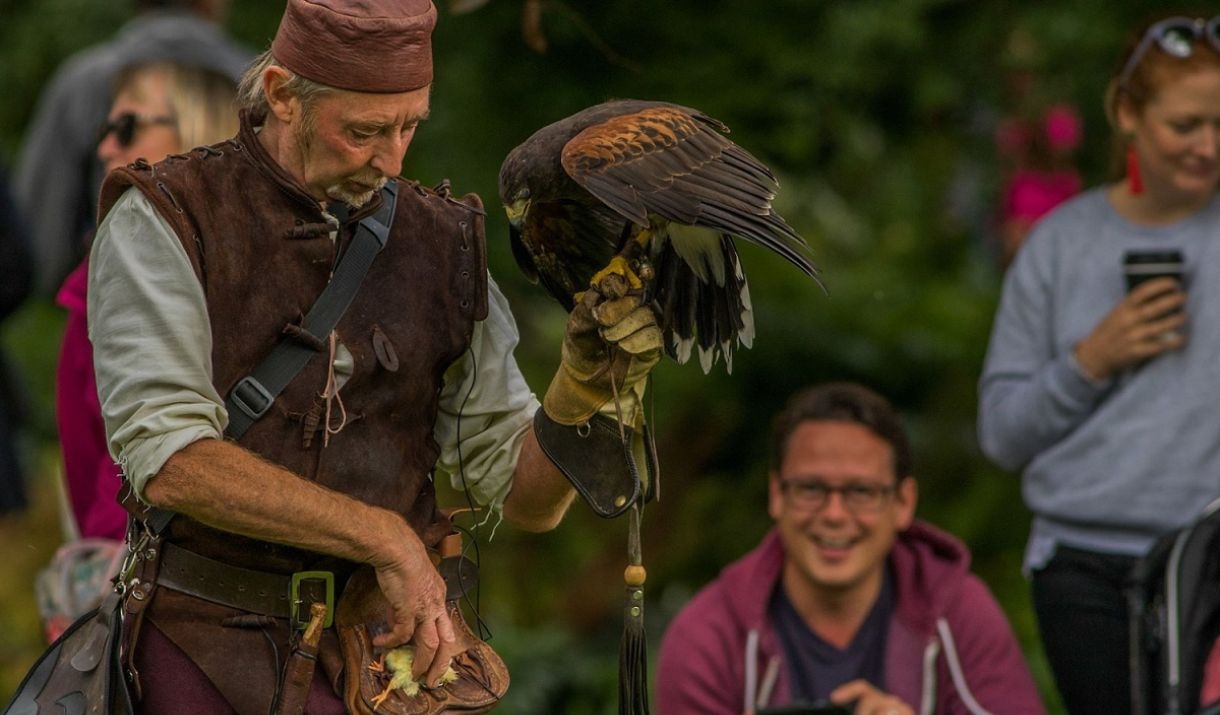 Medieval Falconry Day