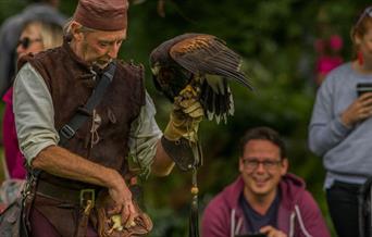 Medieval Falconry Day