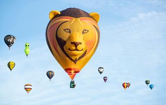 A balloon with a lioness face and ears surrounded by other balloons of various shapes and sizes 
