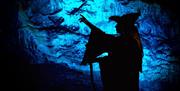 Silhouette of Wookey Hole witch