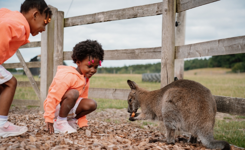 2 young girls with a Wallaby at Longleat