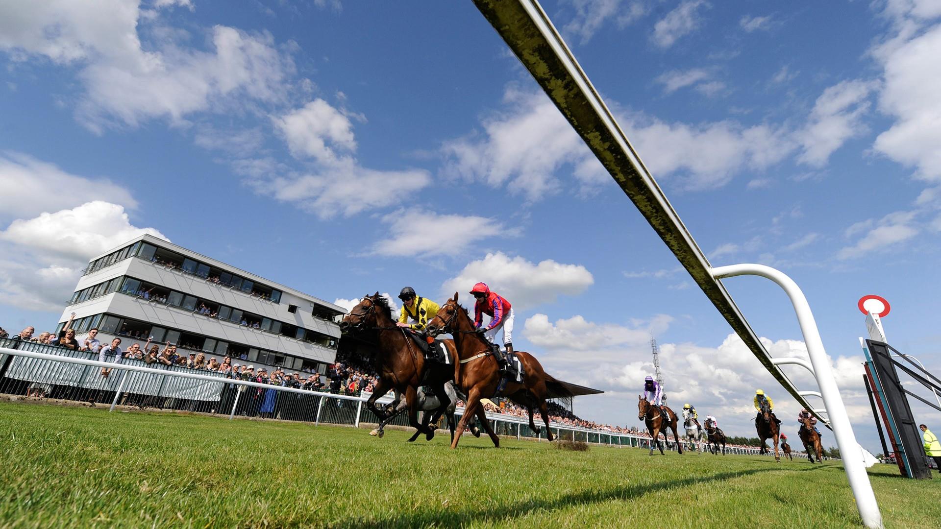 Bath Racecourse - Horses