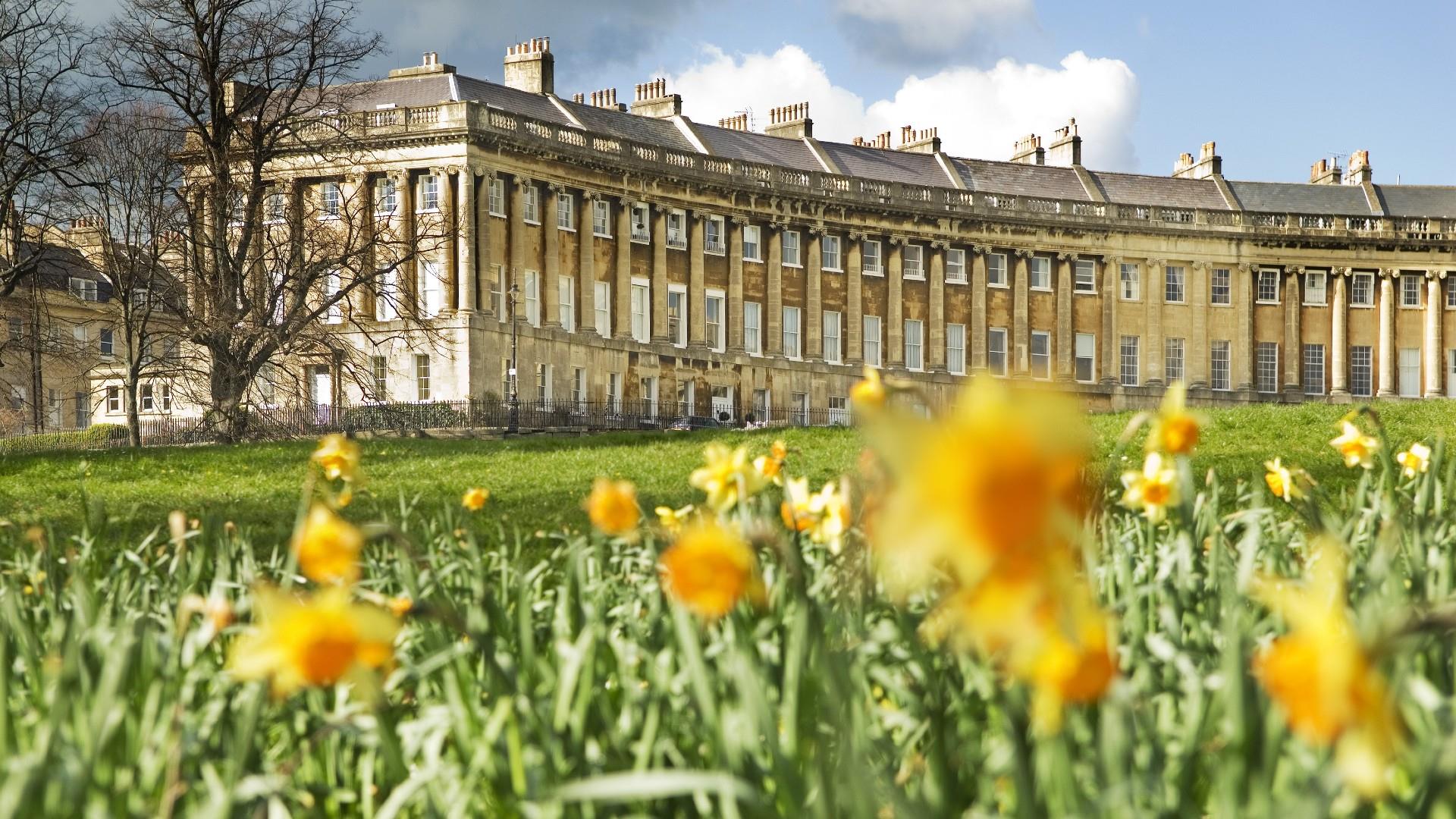 Spring daffodils in Royal Crescent Bath