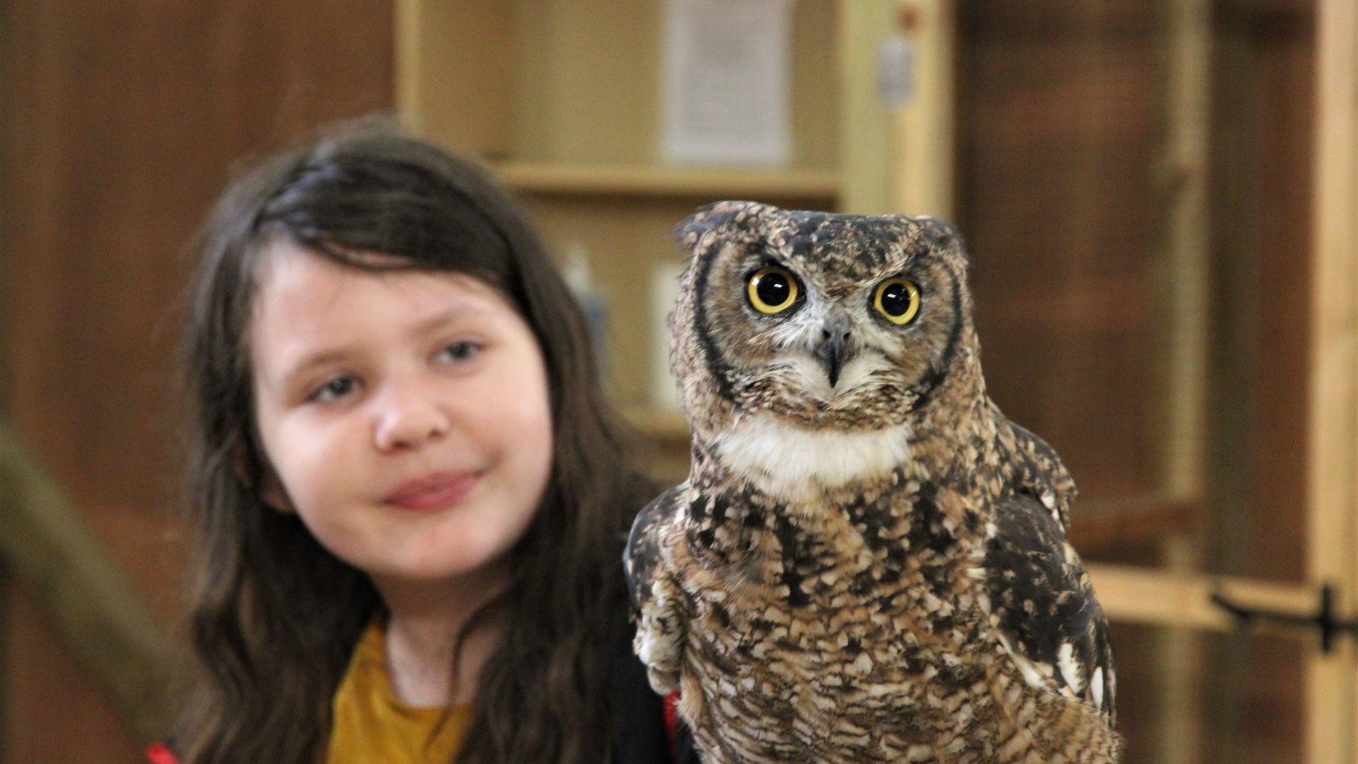 Girl with owl at Bird of Prey Project
