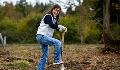 woman digging ground to plant tree 