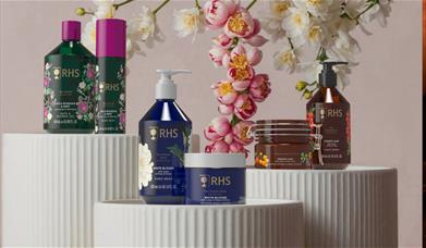 Soaps