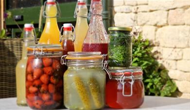 Fermentation Workshop